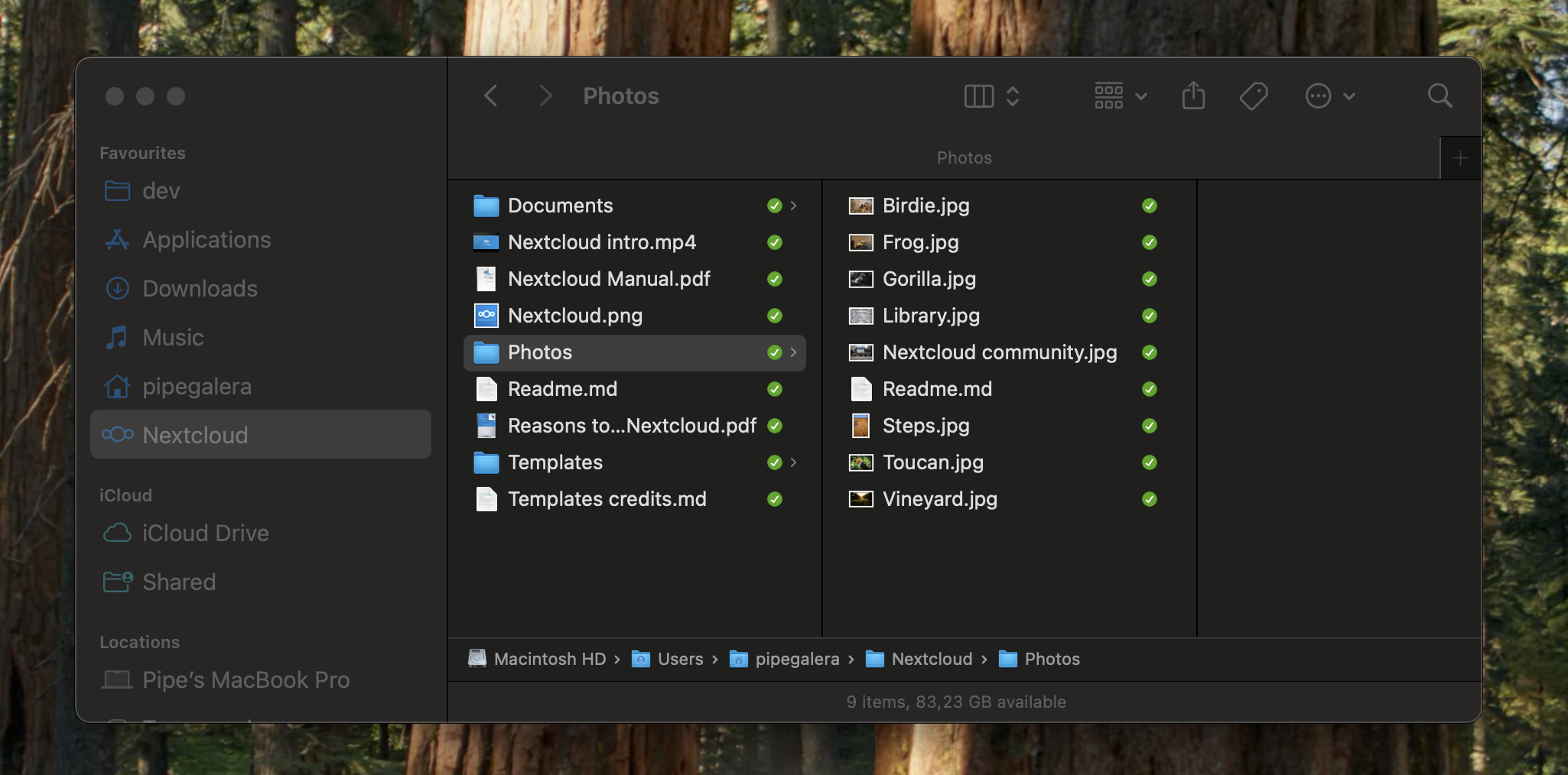 nextcloud_4.png